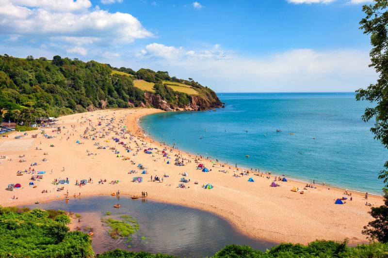 Dog Friendly Holidays Devon And Cornwall